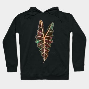 Alocasia Polly Hoodie